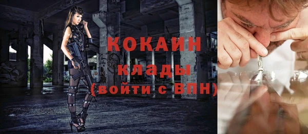 стафф Алексин