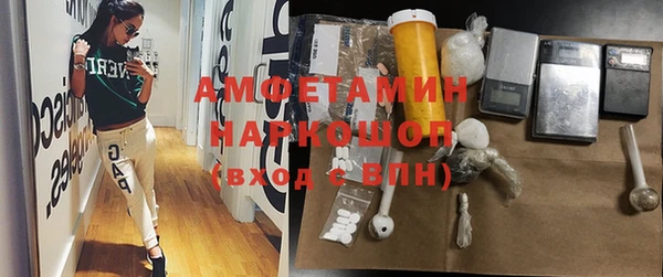 стафф Алексин