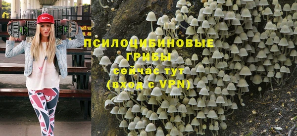 стафф Алексин