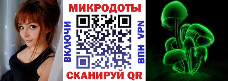 Галлюциногенные грибы прущие грибы  Евпатория 